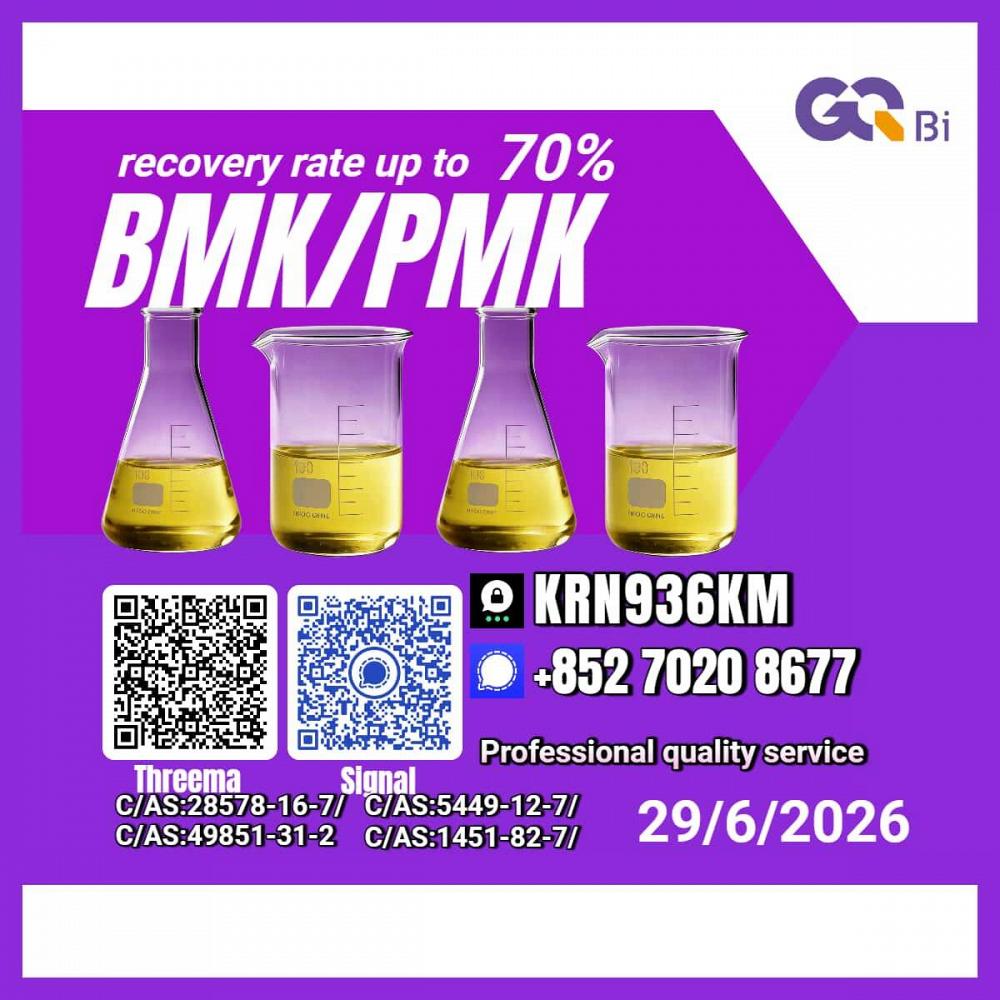 PM.K/C.AS:28578-16-7/Superior Quality BM.K/5449-12-7/