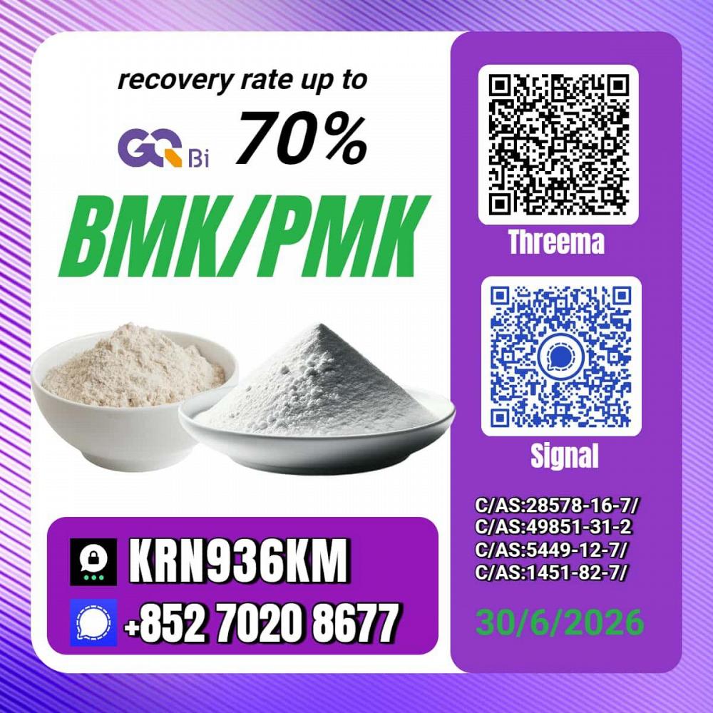Sell PM.K/ CAS:28578-16-7/Lower Cost BM.K/5449-12-7/