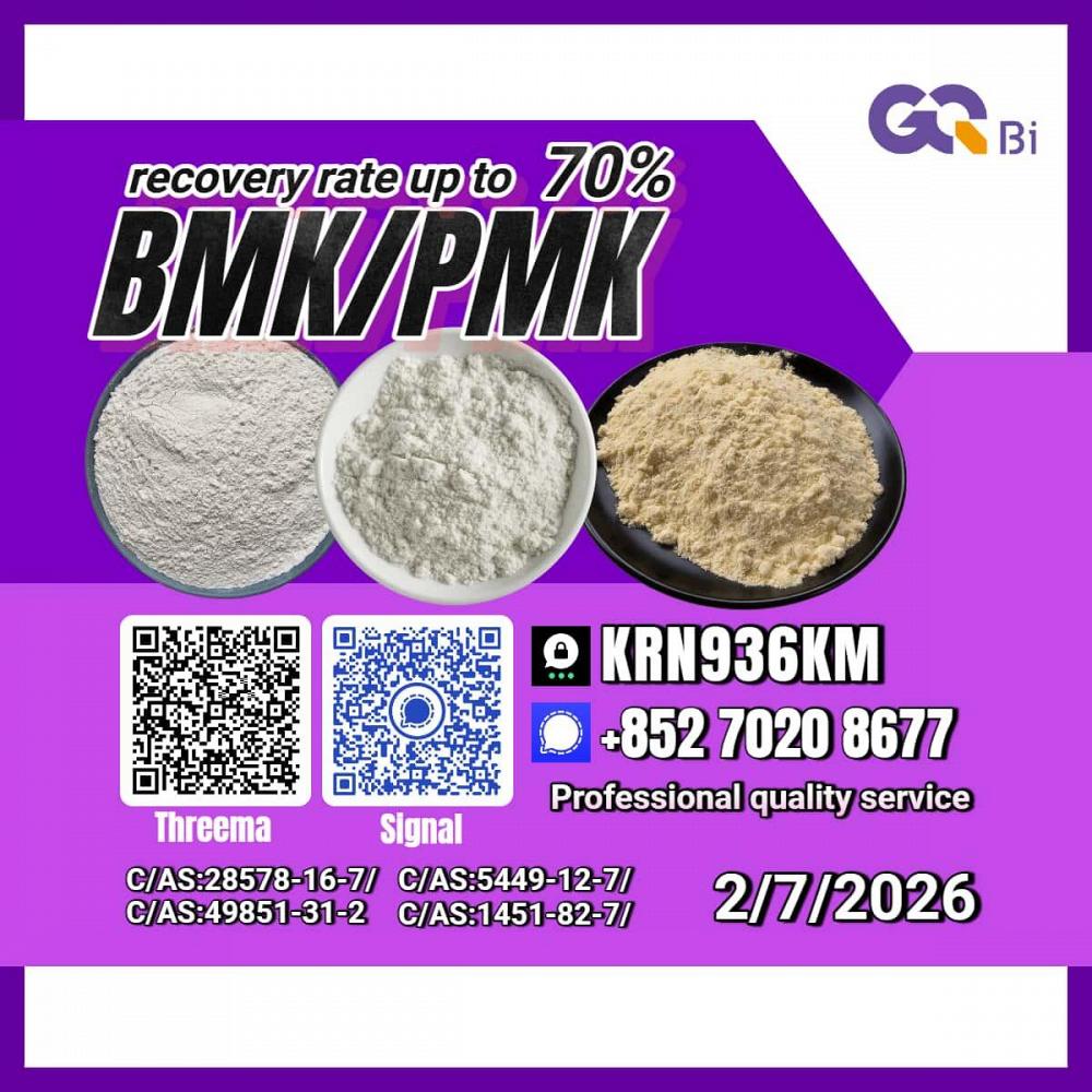 Trade Excellence New PM.K 28578-16-7/ BM.K CAS:5449-12-7/ Trade Excellence New PM.K 28578-16-7/ BM.K CAS:5449-12-7/