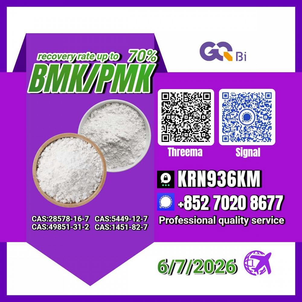Global Raw Material Supply New PM.K 28578-16-7/ BM.K CAS:5449-12-7/