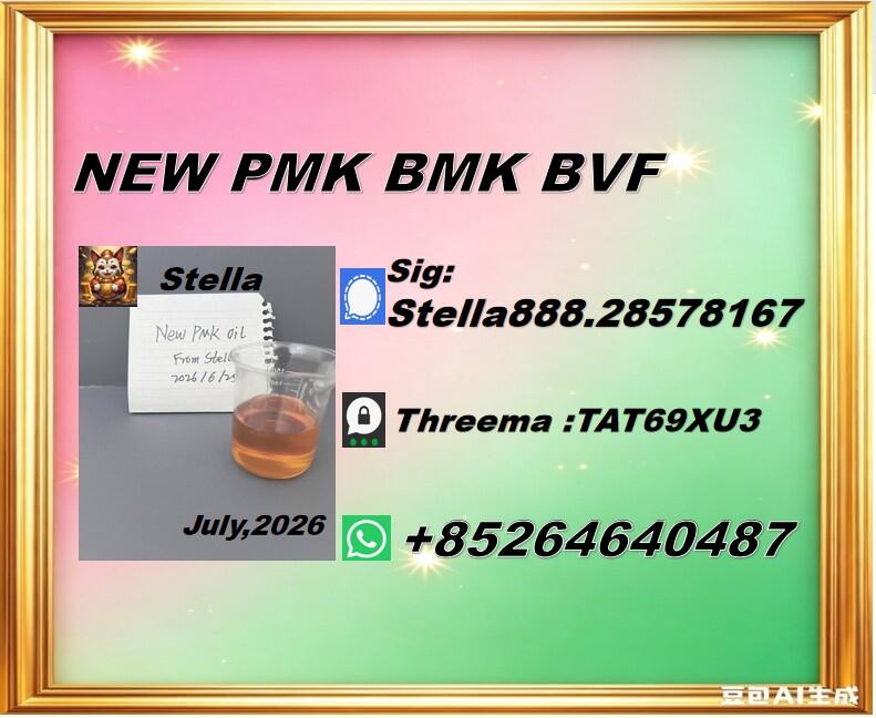 New PM.K 28578-16-7/ BM.K CAS:5449-12-7/ End-to-End Service New PM.K 28578-16-7/ BM.K CAS:5449-12-7/ End-to-End Service
