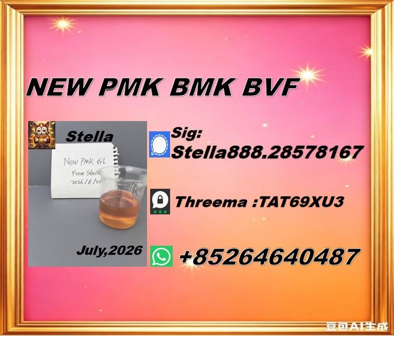 New PM.K 28578-16-7/ BM.K CAS:5449-12-7/ Instant readiness