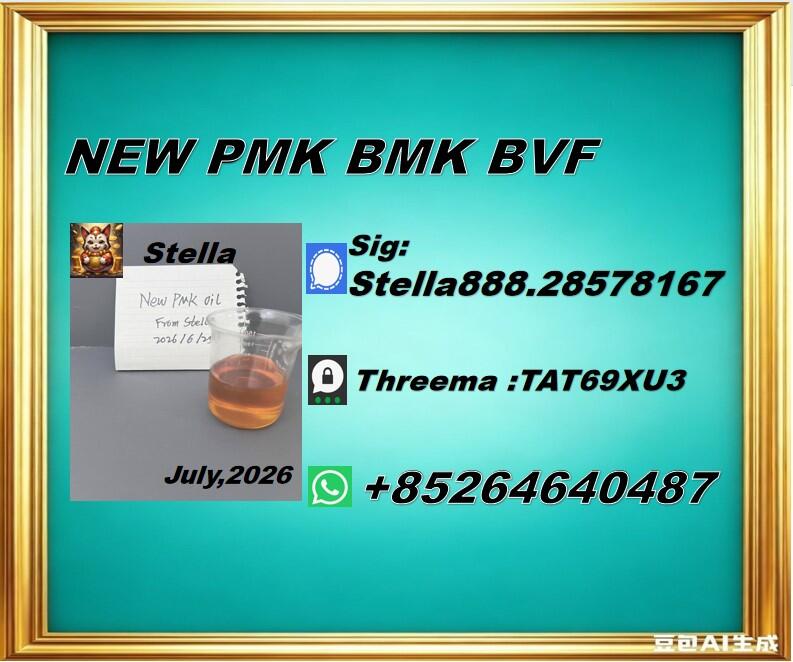 Trade Excellence New PM.K 28578-16-7/ BM.K CAS:5449-12-7/ Trade Excellence New PM.K 28578-16-7/ BM.K CAS:5449-12-7/