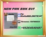 New PM.K 28578-16-7/ BM.K CAS:5449-12-7/ End-to-End Service