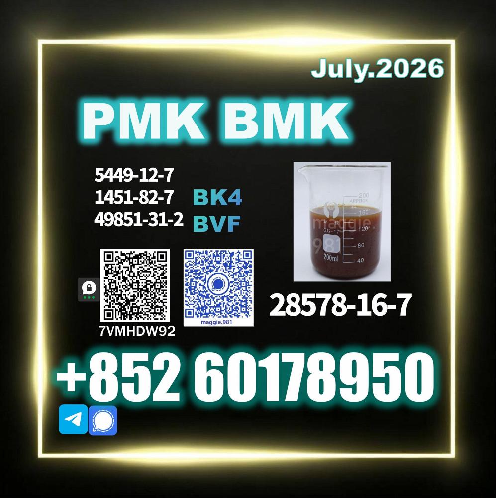 PMK CAS 28578-16-7 boxes packing chemical