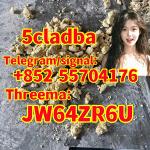 5CL-ADB powder supplier 5cl adb 5cladba 5cl raw materials in stock