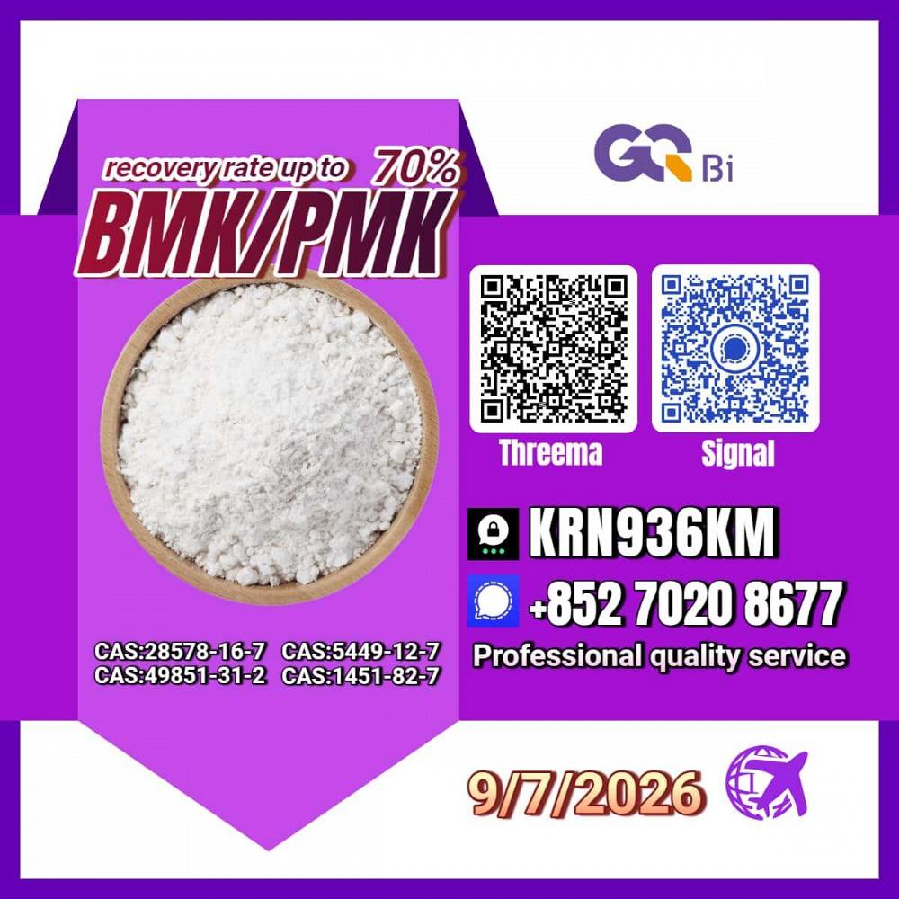 New PM.K 28578-16-7/ BM.K CAS:5449-12-7/ Raw materials