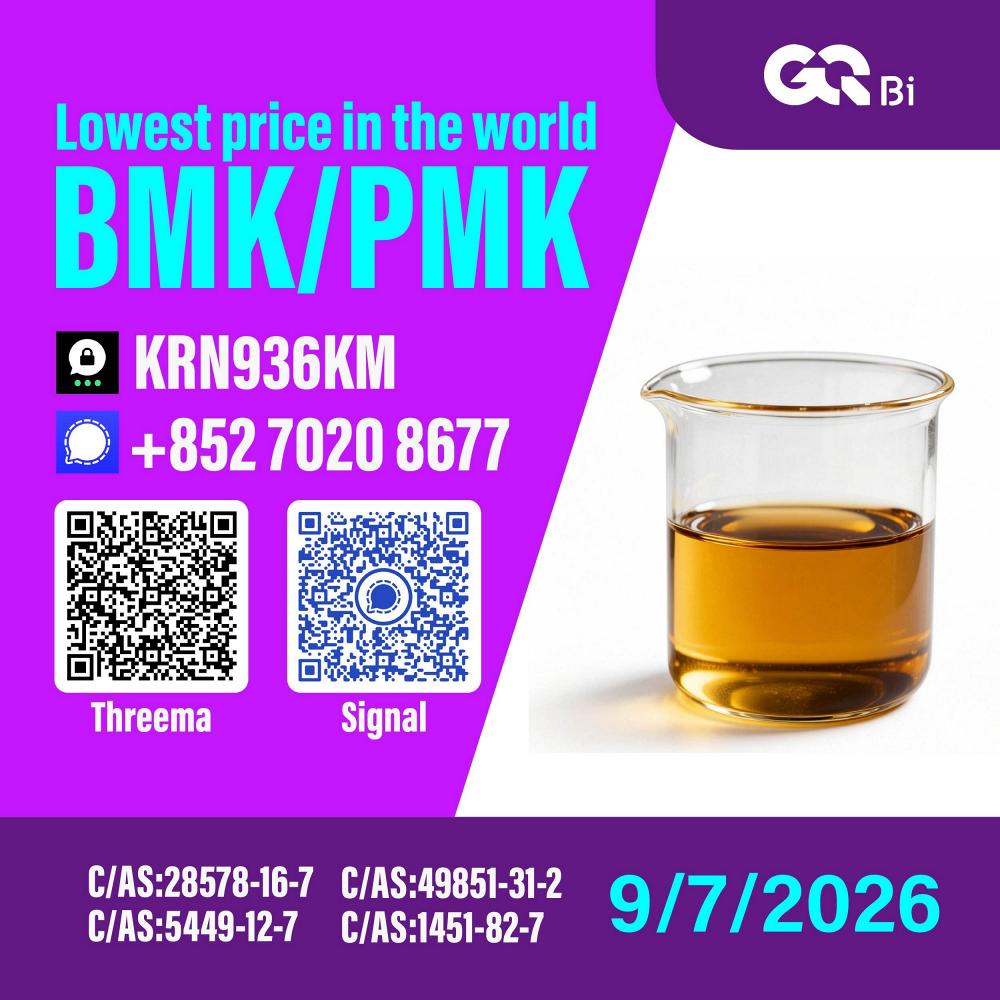 New PM.K 28578-16-7/ BM.K CAS:5449-12-7/ High purity