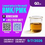 New PM.K 28578-16-7/ BM.K CAS:5449-12-7/ High purity
