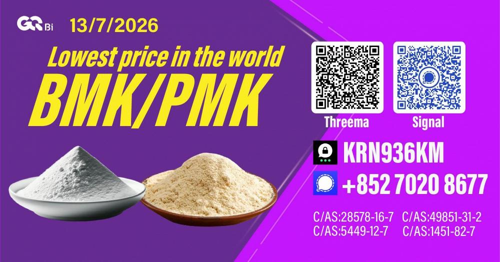 New PM.K 28578-16-7/ BM.K CAS:5449-12-7/ Chemical Synthesis Intermediate