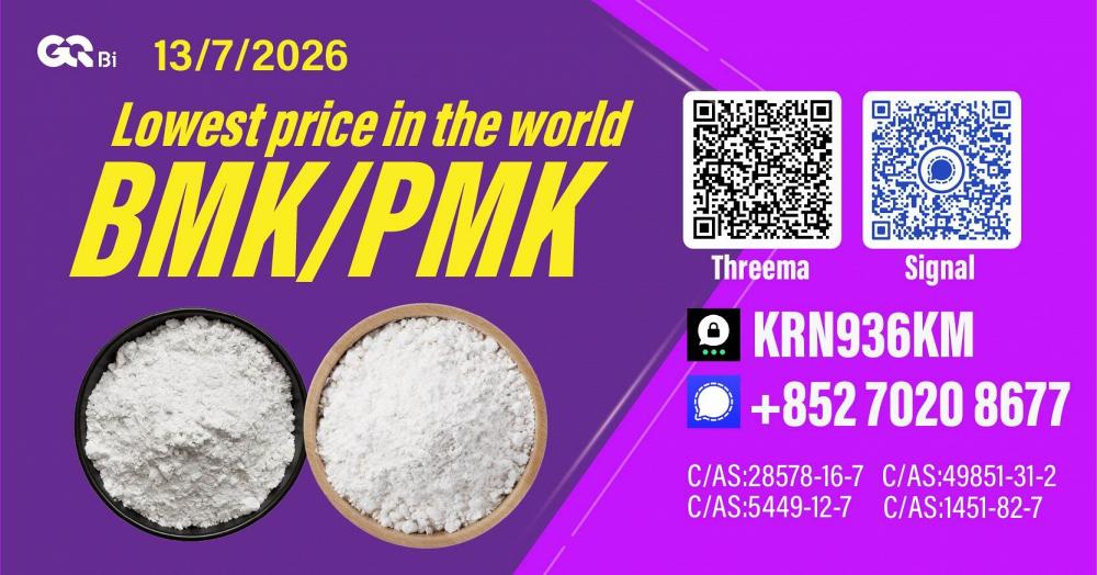 New PM.K 28578-16-7/ BM.K CAS:5449-12-7/ Industrial Grade Chemical New PM.K 28578-16-7/ BM.K CAS:5449-12-7/ Industrial Grade Chemical