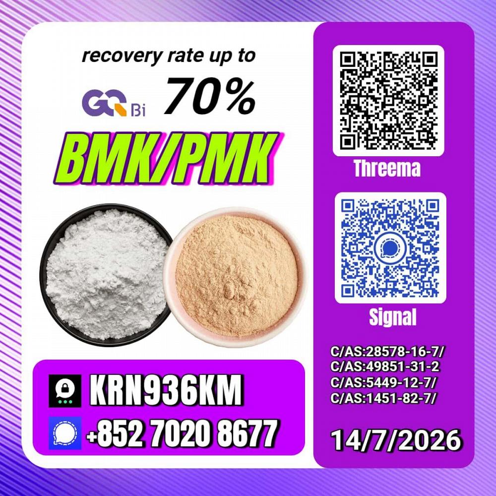 New PM.K 28578-16-7/ BM.K C.AS:5449-12-7/ Fine Organic Intermediate