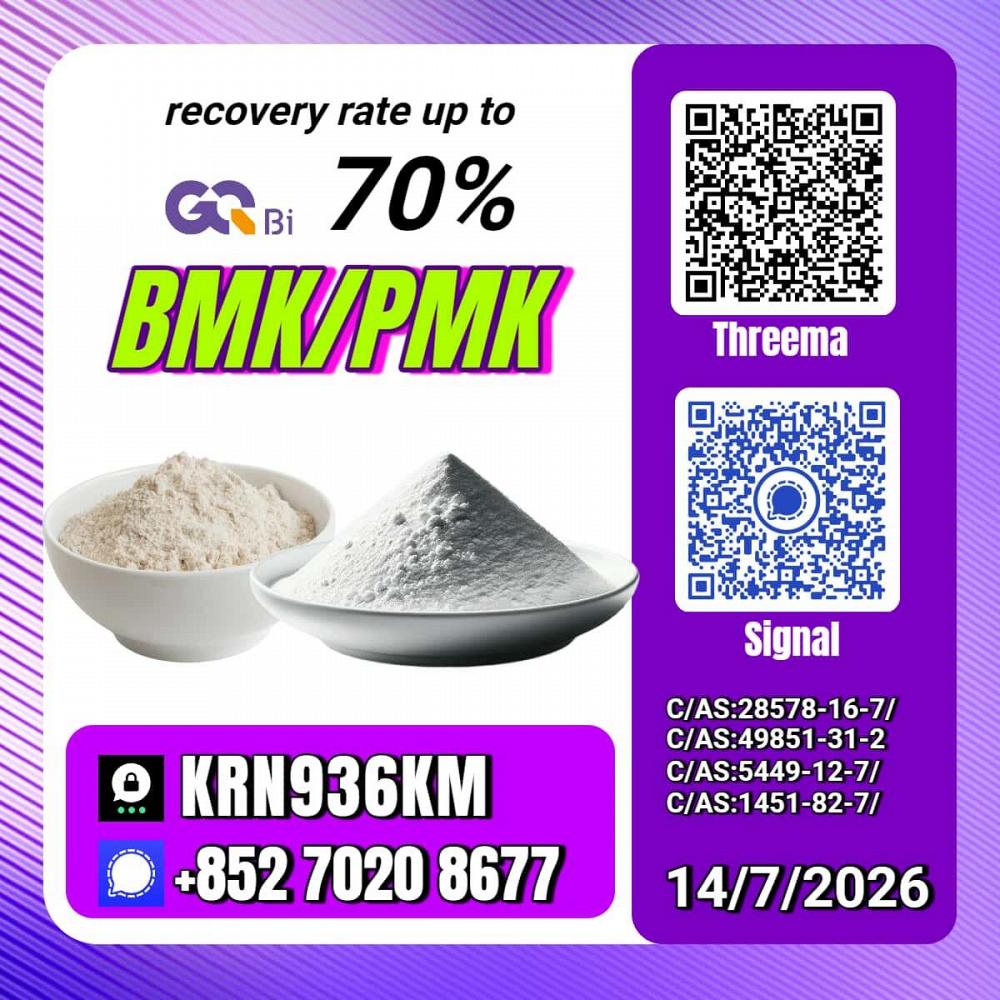 New PM.K 28578-16-7/ BM.K C.AS:5449-12-7/ Chemical Process Material New PM.K 28578-16-7/ BM.K C.AS:5449-12-7/ Chemical Process Material
