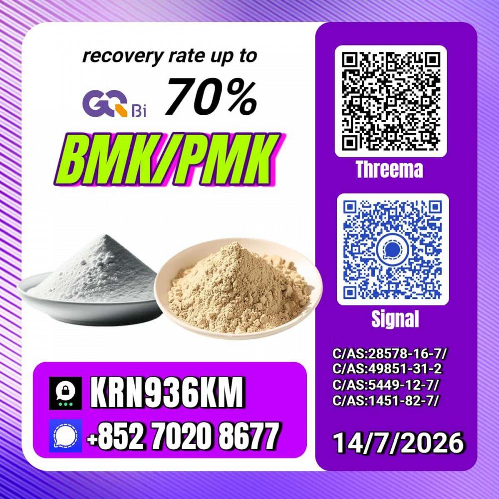 New PM.K 28578-16-7/ BM.K C.AS:5449-12-7/ Industrial Synthesis Material