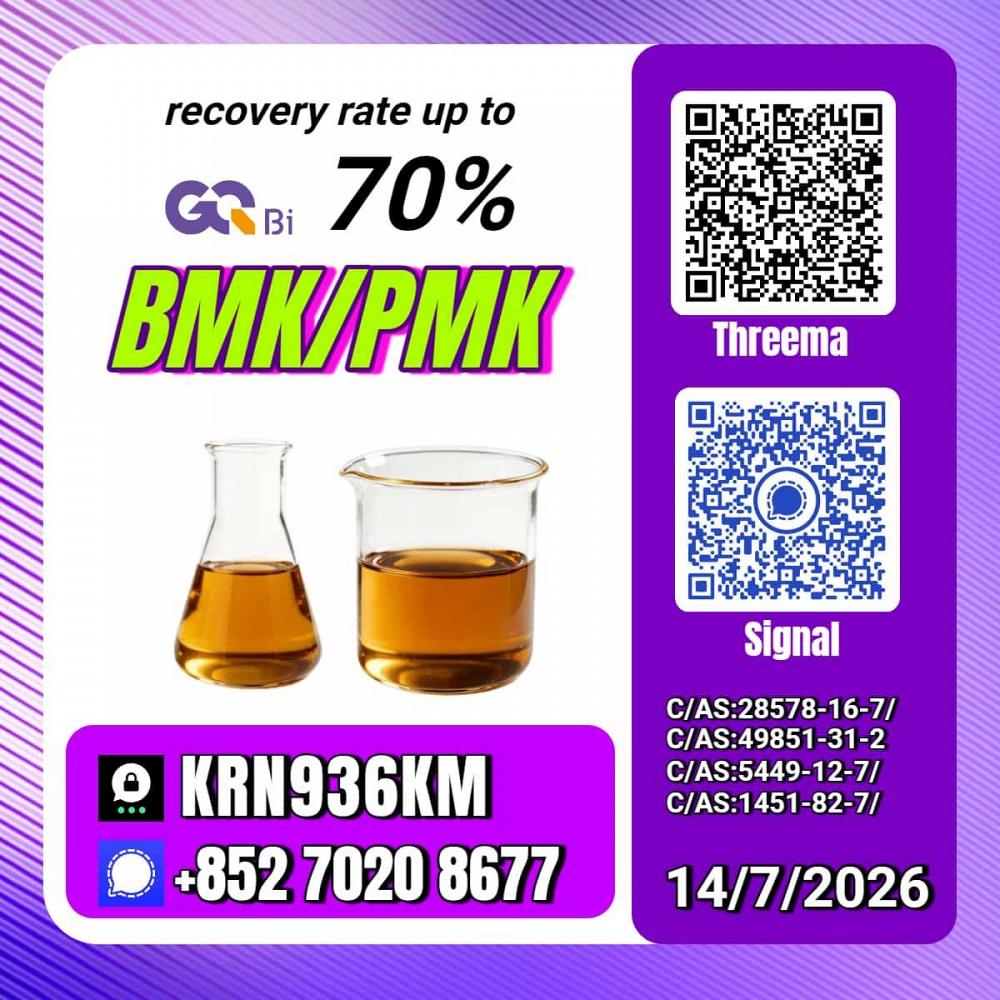 New PM.K 28578-16-7/ BM.K C.AS:5449-12-7/ Organic Synthesis Building Block New PM.K 28578-16-7/ BM.K C.AS:5449-12-7/ Organic Synthesis Building Block