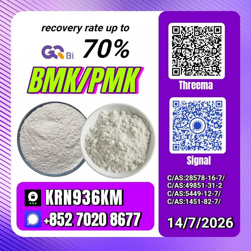 New PM.K 28578-16-7/ BM.K C.AS:5449-12-7/ Chemical Manufacturing Solution