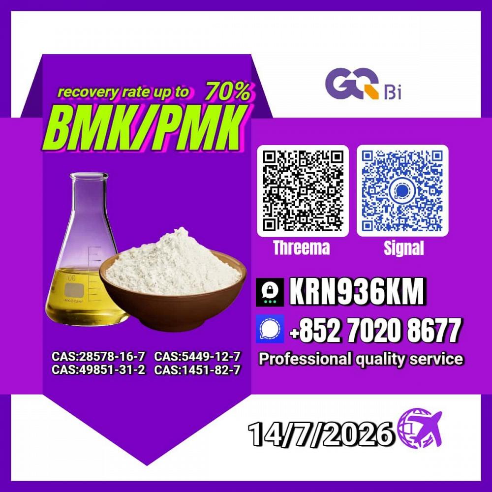 New PM.K 28578-16-7/ BM.K C.AS:5449-12-7/ Premium Chemical Raw Material New PM.K 28578-16-7/ BM.K C.AS:5449-12-7/ Premium Chemical Raw Material