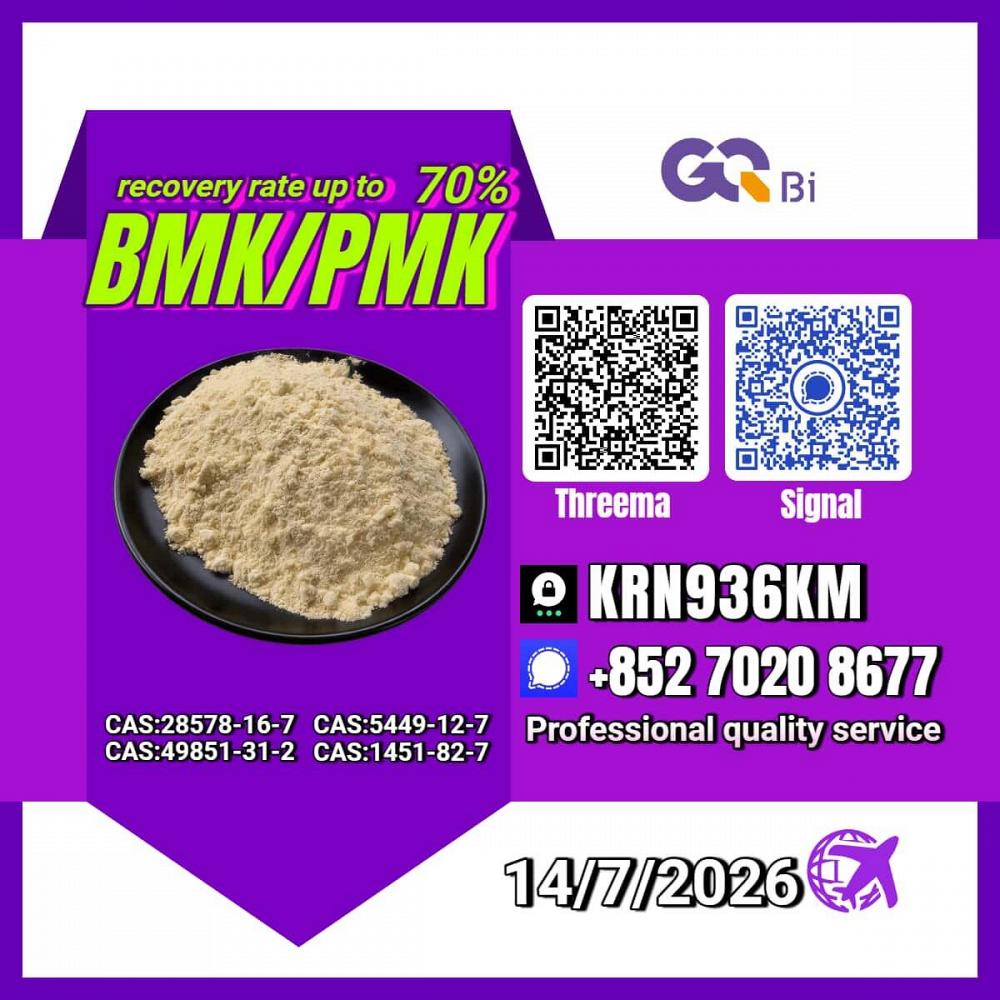 New PM.K 28578-16-7/ BM.K C.AS:5449-12-7/ Process Development Chemical New PM.K 28578-16-7/ BM.K C.AS:5449-12-7/ Process Development Chemical
