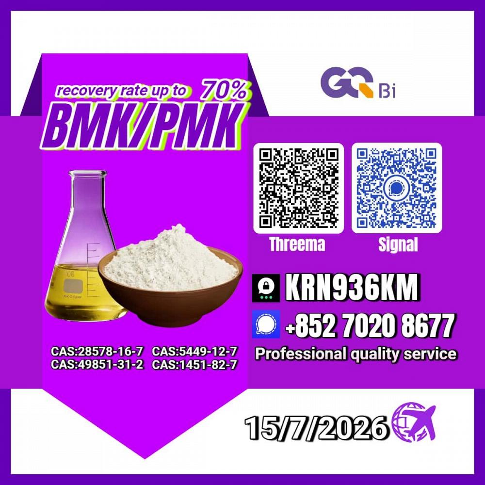 New PM.K 28578-16-7/ BM.K C.AS:5449-12-7/ Advanced Organic Intermediate New PM.K 28578-16-7/ BM.K C.AS:5449-12-7/ Advanced Organic Intermediate