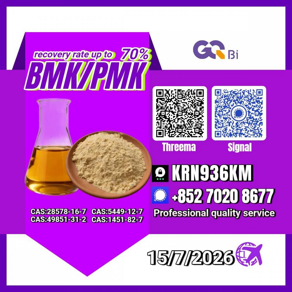 New PM.K 28578-16-7/ BM.K C.AS:5449-12-7/ Specialty Chemical Compound New PM.K 28578-16-7/ BM.K C.AS:5449-12-7/ Specialty Chemical Compound