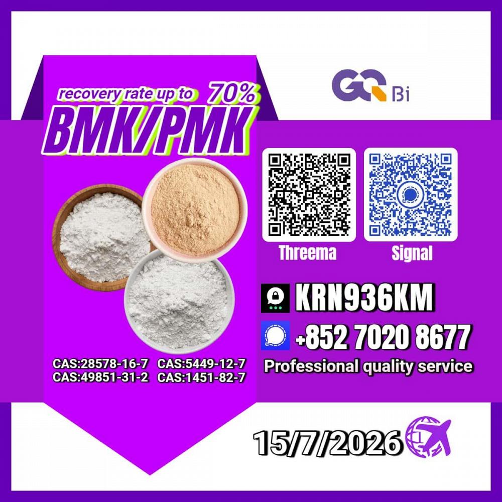 New PM.K 28578-16-7/ BM.K C.AS:5449-12-7/ Synthetic Chemical Component