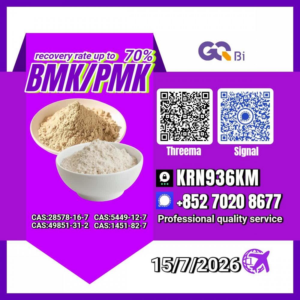 New PM.K 28578-16-7/ BM.K C.AS:5449-12-7/ Fine Chemical Ingredient New PM.K 28578-16-7/ BM.K C.AS:5449-12-7/ Fine Chemical Ingredient