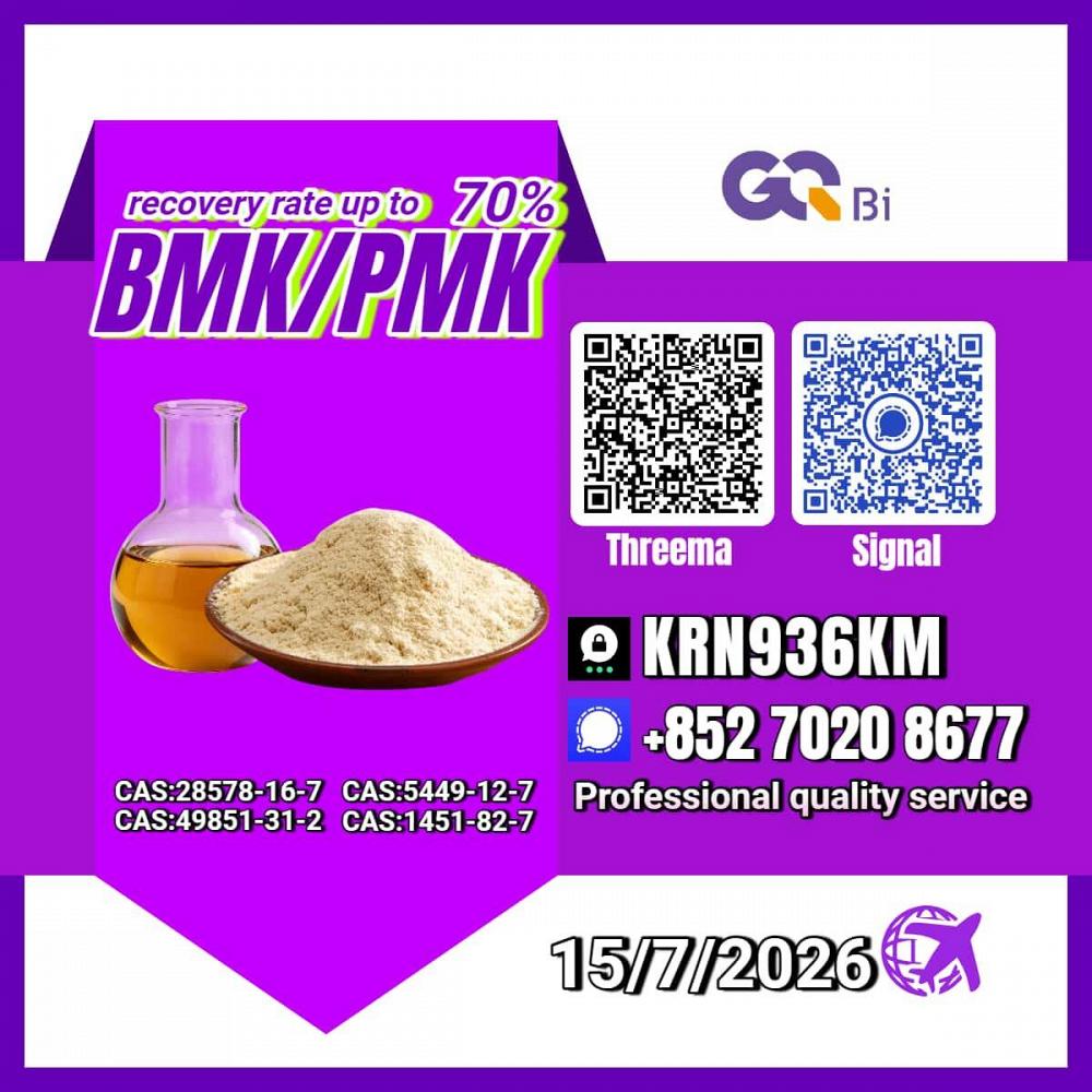 New PM.K 28578-16-7/ BM.K C.AS:5449-12-7/ Specialty Synthesis Compound
