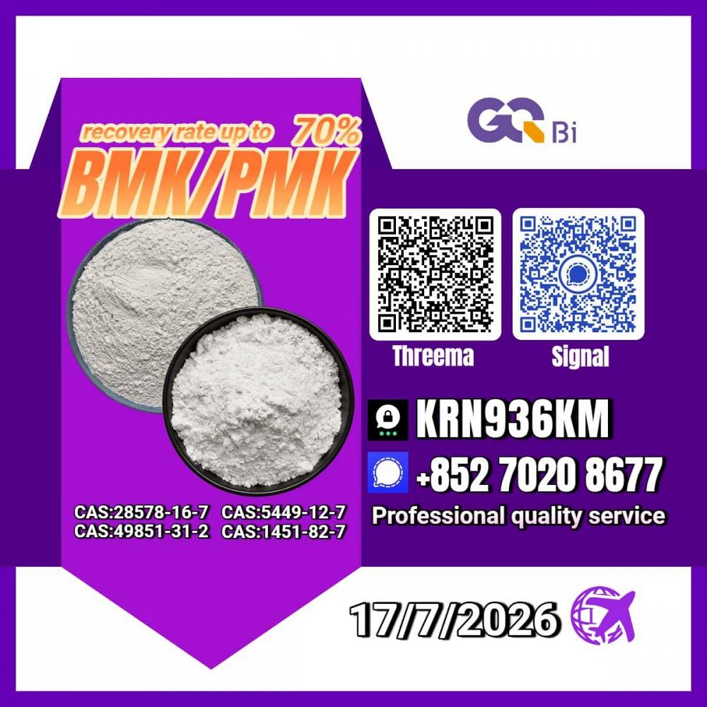 New PM.K 28578-16-7/ BM.K C.AS:5449-12-7/ Chemical Development Material New PM.K 28578-16-7/ BM.K C.AS:5449-12-7/ Chemical Development Material