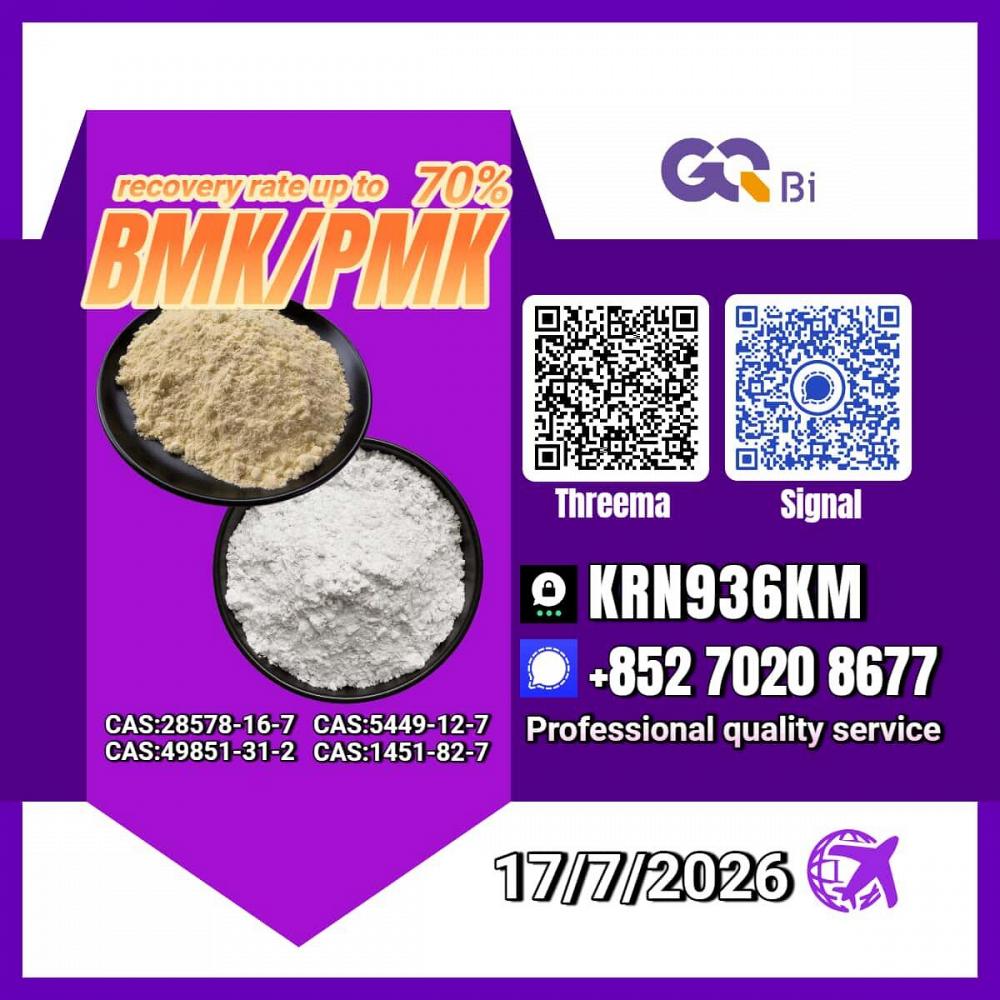 New PM.K 28578-16-7/ BM.K C.AS:5449-12-7/ High Purity Chemical Component New PM.K 28578-16-7/ BM.K C.AS:5449-12-7/ High Purity Chemical Component