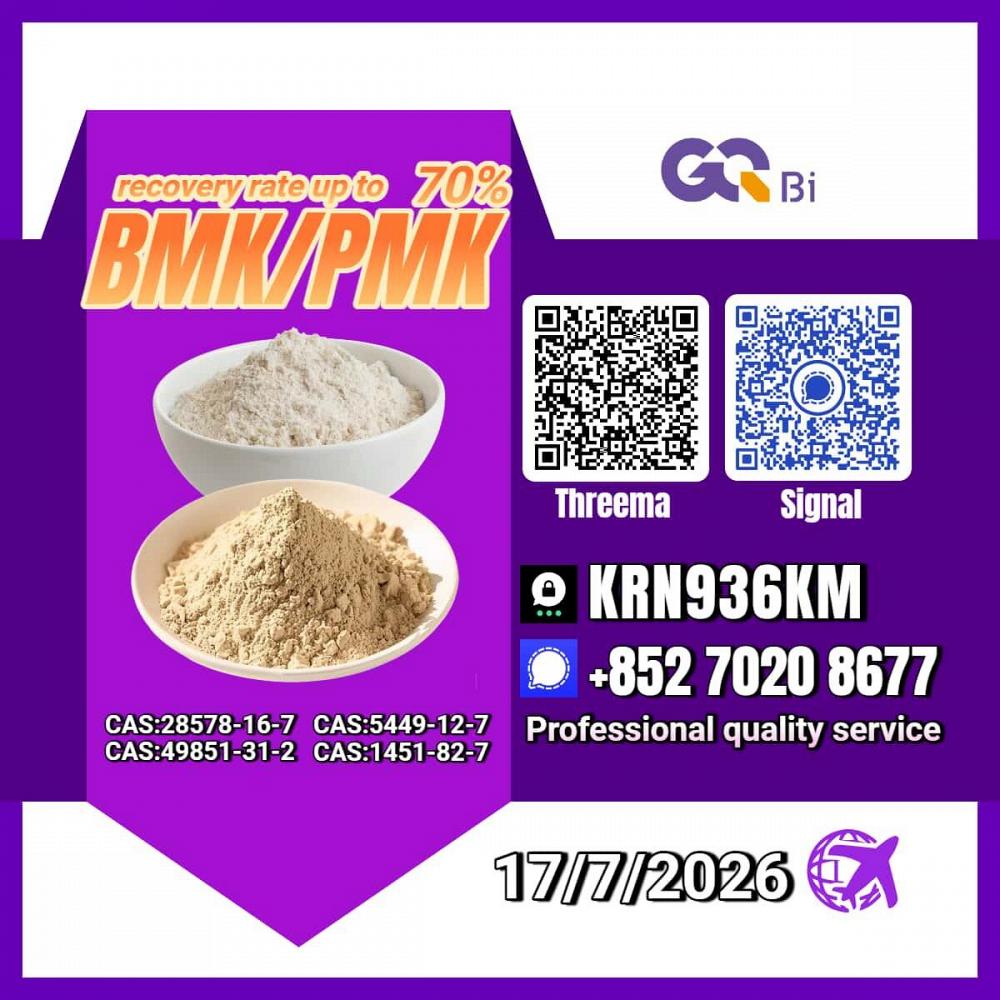 New PM.K 28578-16-7/ BM.K C.AS:5449-12-7/ Fine Organic Compound New PM.K 28578-16-7/ BM.K C.AS:5449-12-7/ Fine Organic Compound