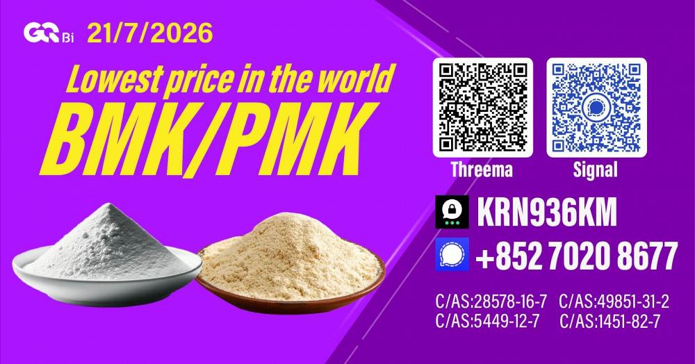 New PM.K 28578-16-7/ BM.K C.AS:5449-12-7/ Factory Price New PM.K 28578-16-7/ BM.K C.AS:5449-12-7/ Factory Price