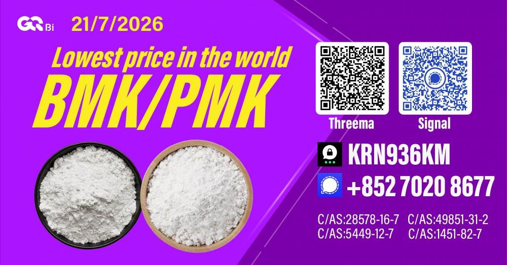 Competitive Price New PM.K 28578-16-7/ BM.K C.AS:5449-12-7/ Competitive Price New PM.K 28578-16-7/ BM.K C.AS:5449-12-7/