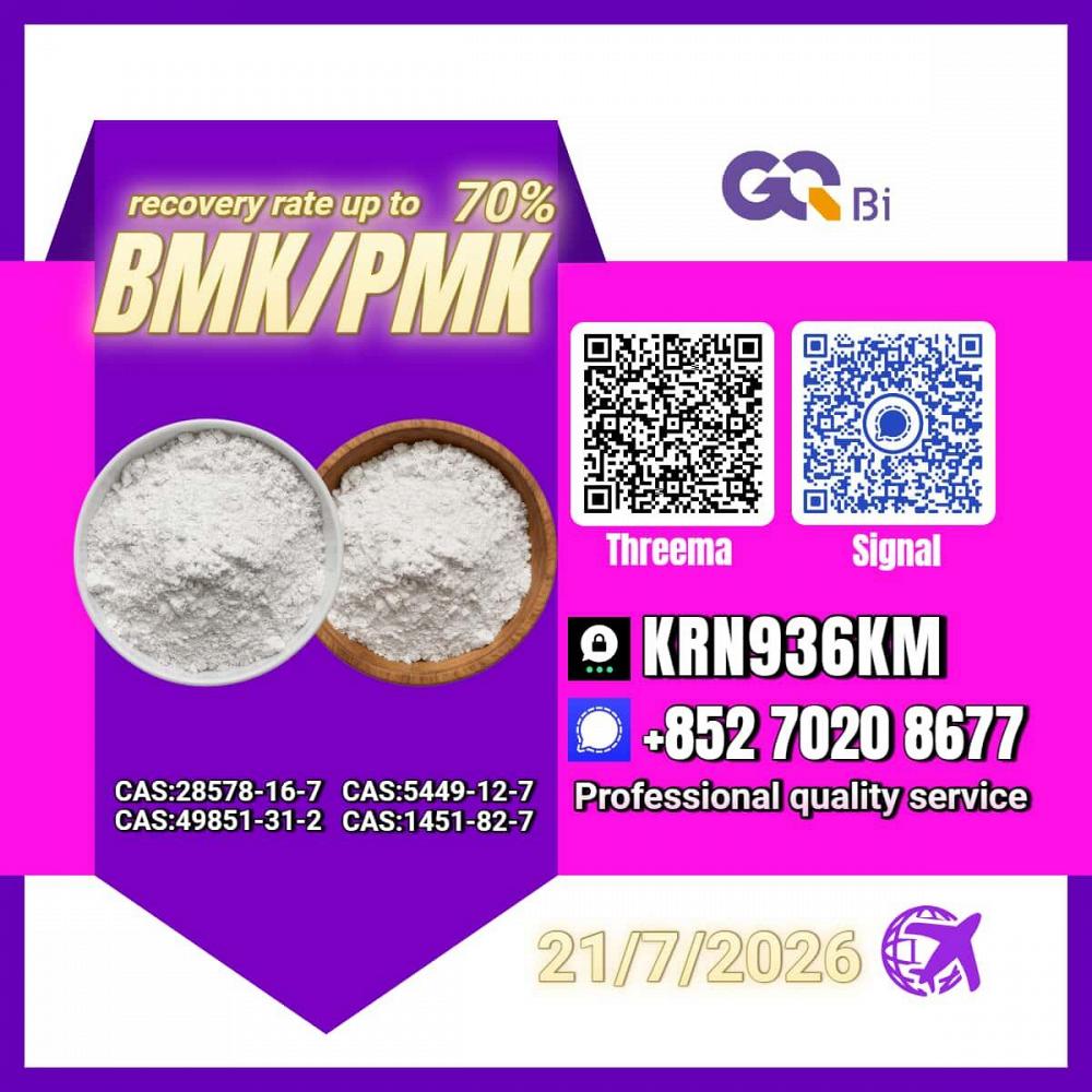 Special Chemical Deal New PM.K 28578-16-7/ BM.K C.AS:5449-12-7/ Special Chemical Deal New PM.K 28578-16-7/ BM.K C.AS:5449-12-7/