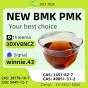 CAS 5449-12-7 BMK Sodium Salt White Powder Supply