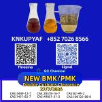 Intercontinental coverage PMK Oil 28578-16-7 enlarging business scope