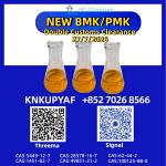 Validated competency BMK 5449-12-7 addressing overseas expectations