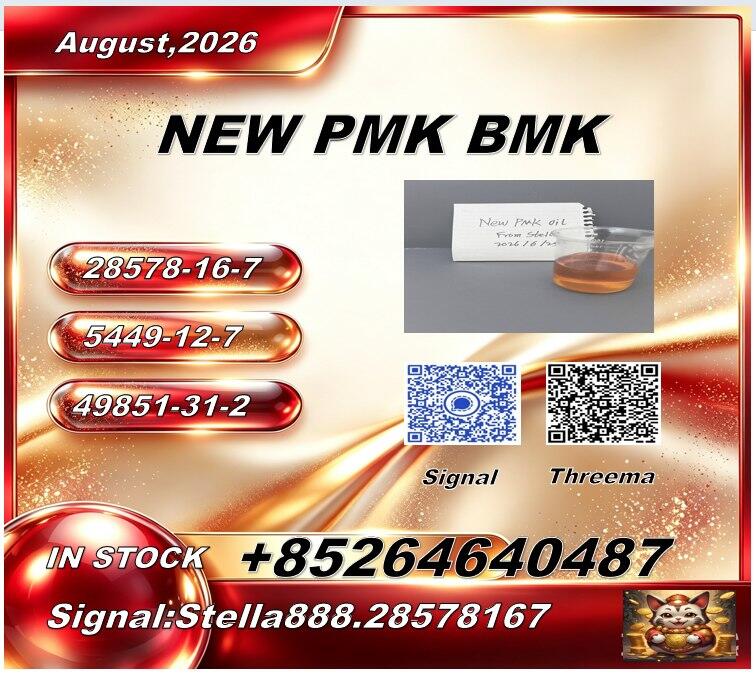 New P.M.K 28578-16-7/ B.M.K C.AS:5449-12-7/ Specialty Chemical Ingredient