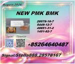 New P.M.K 28578-16-7/ B.M.K C.AS:5449-12-7/ Organic Process Material