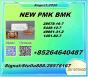 Innovative blueprint 5449-12-7 coordinated with 28578-16-7 