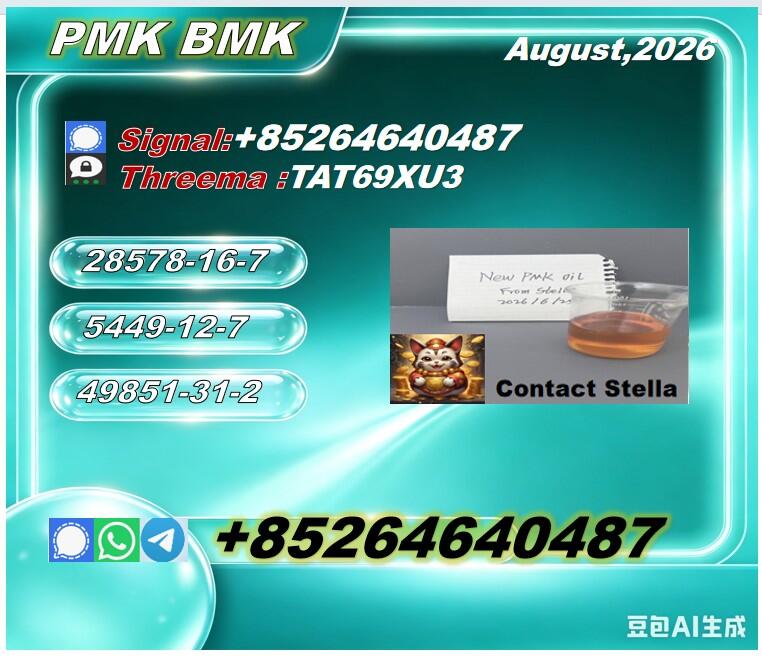 New P.M.K 28578-16-7/ B.M.K C.AS:5449-12-7/ Specialty Chemical Ingredient