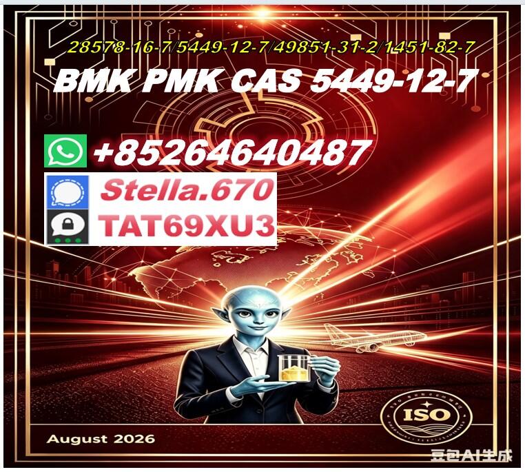 New P OIL 28578-16-7/ B CAS:5449-12-7/ Custom Synthesis Material New P OIL 28578-16-7/ B CAS:5449-12-7/ Custom Synthesis Material