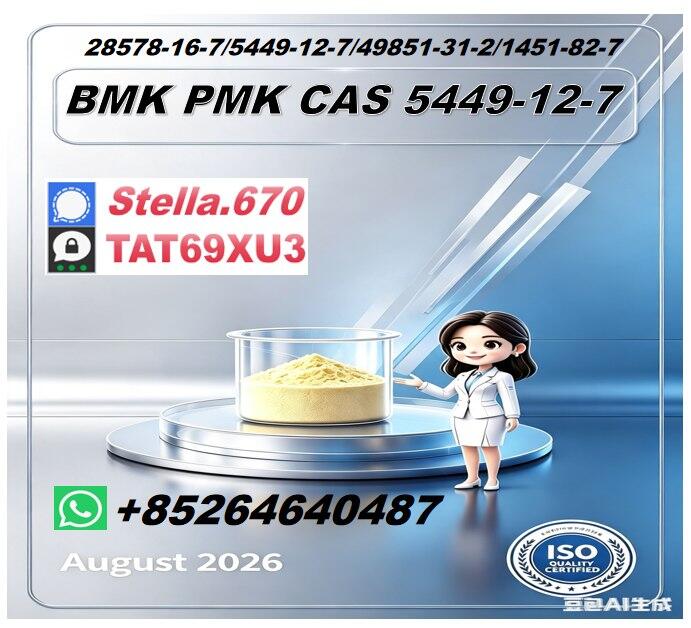 New P OIL 28578-16-7/ B CAS:5449-12-7/ Custom Synthesis Material New P OIL 28578-16-7/ B CAS:5449-12-7/ Custom Synthesis Material