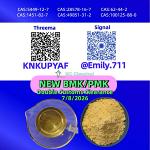 PMK Oil CAS 28578-16-7 assigned toward dispatch preparation /13605-48-6