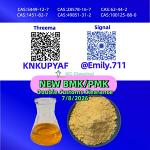 PMK Oil 28578-16-7 designated toward acquisition initiatives /5449-12-7