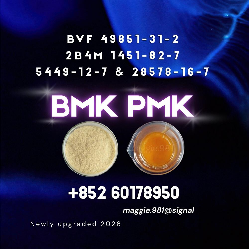 New BMK 5449-12-7 PMK Safe Global Shipping