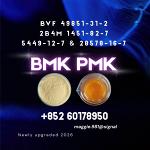 New BMK 5449-12-7 PMK Safe Global Shipping