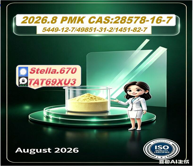 New CAS 28578-16-7/ CAS 5449-12-7/ Quality Chemical Solution 