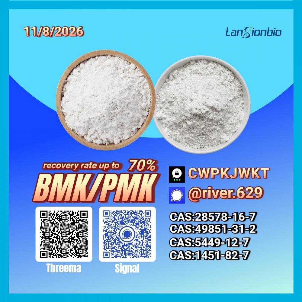 PM.K CA.S:28578-16-7/ BM.K 5449-12-7/ trusted chemical material suppliers