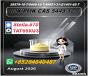 New P OIL 28578-16-7/ NEW B CAS:5449-12-7 Industrial Organic-Compound