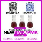 BMK 5449-12-7 Stable Supply Performance /13605-48-6